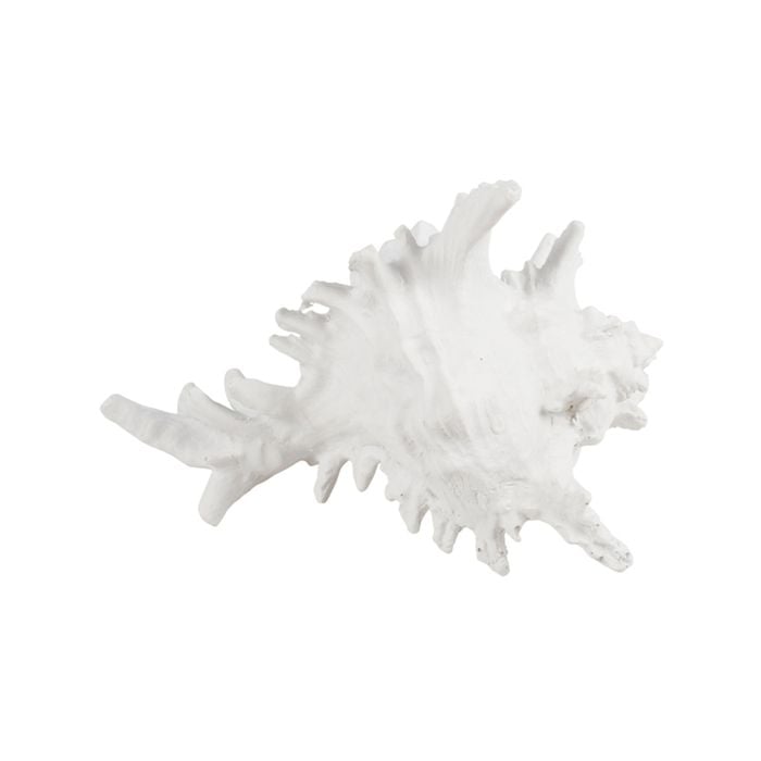 Maine & Crawford 7 Seas Resin 19cm Coral Ornament - White