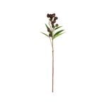 UN-REAL 70cm Aged Gumnut Native Artificial Flower