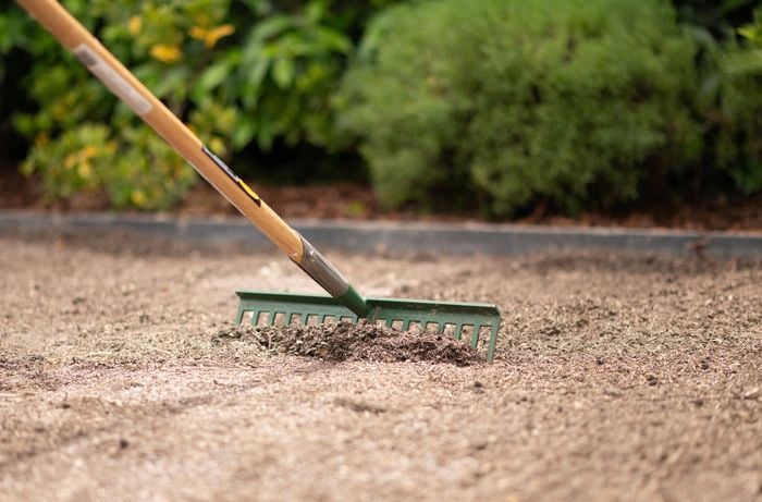 D.I.Y. - Step 7 - How to grow grass from lawn seed