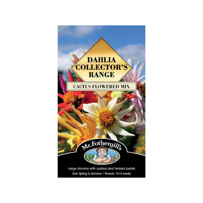 Mr Fothergill's Dahlia Cactus Flowered Hybrids Mix Seeds