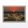 Nature View with Trees & Sunset   Print 100% Australian Made 90x60cm  (Poster)
