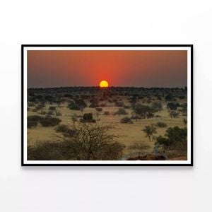 Nature View with Trees & Sunset   Print 100% Australian Made 90x60cm  (Poster)