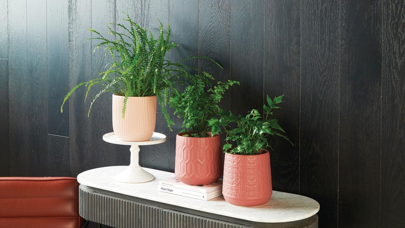Plant pots on a modern side table 