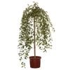 330mm Weeping Cherry Snow Fountains - Prunus