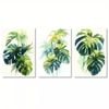 3 Set of Tropical Leaves on White Background Print 100% Australian Made 3 x 40x60cm  (Stretched)