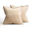 Catzon 2 Pcs Decorative Velvet Throw Pillow Covers Soild for Home Car 50X50cm-Beige