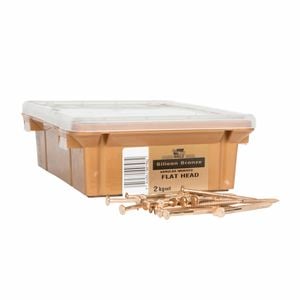 NZ Nails 60 x 3.25mm Silicone Bronze Flat Head Nail - 2kg Box
