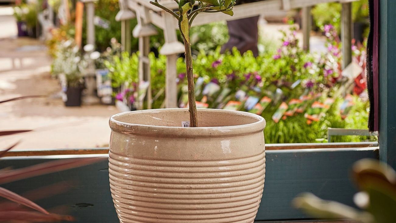 Ceramic glaze pot outside on deck.