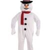Deluxe Adults Snow Man Mascot Costume - Standard
