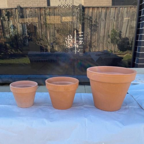 New Terracotta plant pots.