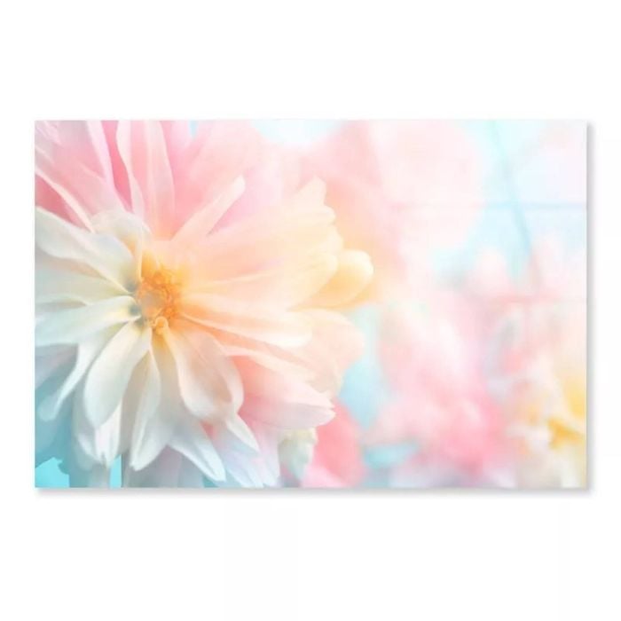 Color Dahlia Flower   Print 100% Australian Made 150 x 100cm  (Acrylic)