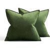 Catzon 2 Pcs Decorative Velvet Throw Pillow Covers Soild for Home Car 45X45cm-Apple Green