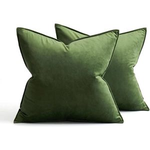 Catzon 2 Pcs Decorative Velvet Throw Pillow Covers Soild for Home Car 45X45cm-Apple Green