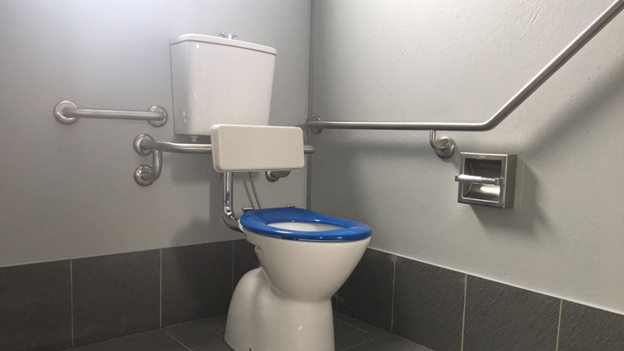 Living  bathroom with toilet and hand rail