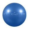 GoFit Pro Guide Ball 55cm Gym Ball