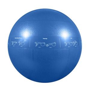 GoFit Pro Guide Ball 55cm Gym Ball