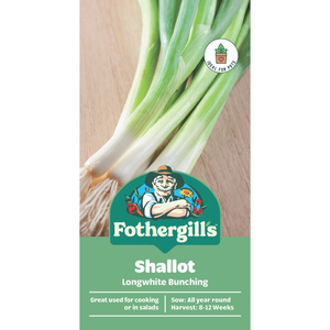 Fothergill's Longwhite Bunching Shallot Vegetable Seeds