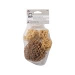 Folk Art Decorator Sponge - Value Pack
