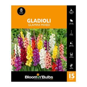 Bloomin' Bulbs Gladioli Glamini Mixed - 15 Pack
