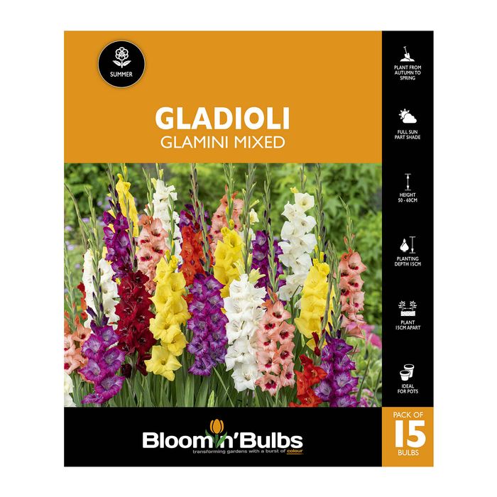 Bloomin' Bulbs Gladioli Glamini Mixed - 15 Pack