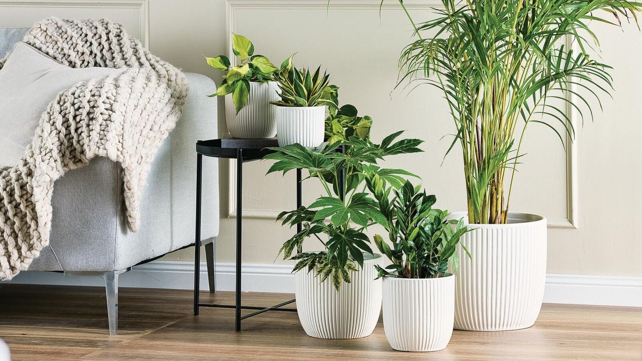 Range of small to large pots inside a house
