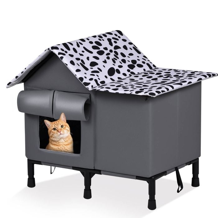 Advwin Outdoor Cat House Elevated