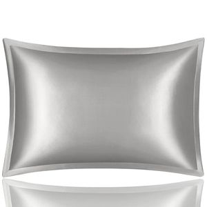 Anypillow Pillowcase 50x90cm Light Gray Pure Real Silk