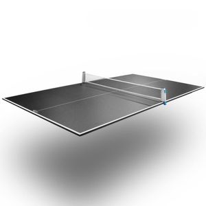 18 mm Standard Table Tennis Table Top (Net not included)