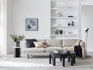 Contemporary white painted living room with black accents and furniture