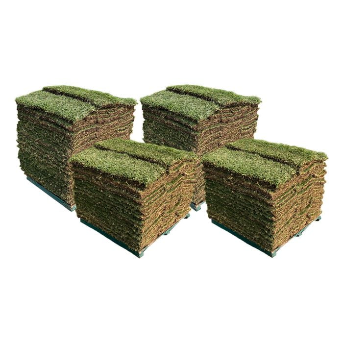 Sir Walter DNA Certified Buffalo 180m² Soft Leaf Buffalo Turf - Pallet