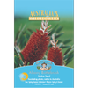 Mr Fothergill's Albany Bottlebrush Fruit Seeds