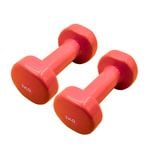 Xin 3kg Vinyl Cast Iron Dumbbell Hand Weight 2 Pack