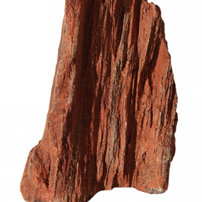 Aqua One Petrified Wood Ornament - Extra Large (37153xl)