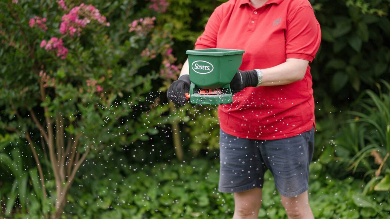 A person is using a hand held fertiliser spreader.