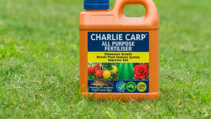 Charlie Carp All Purpose 1L 3018567