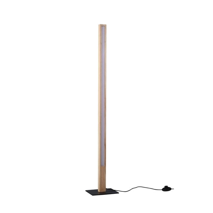 Lexi Lighting Rectara Floor Lamp