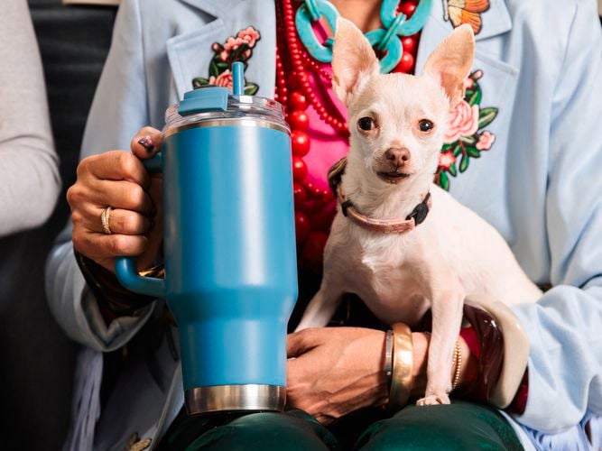Igloo - Brand page - Gallery 2 - Travel Mug