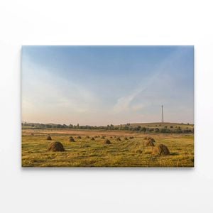 Autumn Grassland in China  Print 100% Australian Made 150 x 100cm  (Stretched)