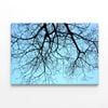 Branches of Tree against the Sky  Print 100% Australian Made 75 x 50cm  (Stretched)