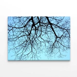 Branches of Tree against the Sky  Print 100% Australian Made 75 x 50cm  (Stretched)