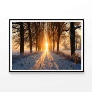 Winter, Tree Alley at Sunset  Print 100% Australian Made 120x90cm  (Poster)