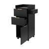Artiss Salon Station Rolling Cart, Hair Styling Beauty Cabinet, Black