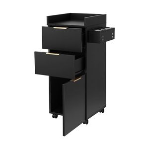 Artiss Salon Station Rolling Cart, Hair Styling Beauty Cabinet, Black