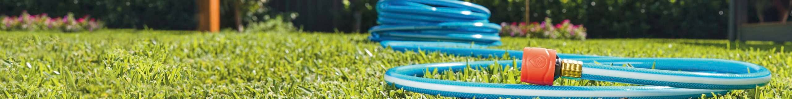 Close up of a curled hose on green grass.