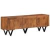 vidaXL Solid Wood Mango TV Cabinet TV Stand Plasma HiFi Cabinet Sideboard