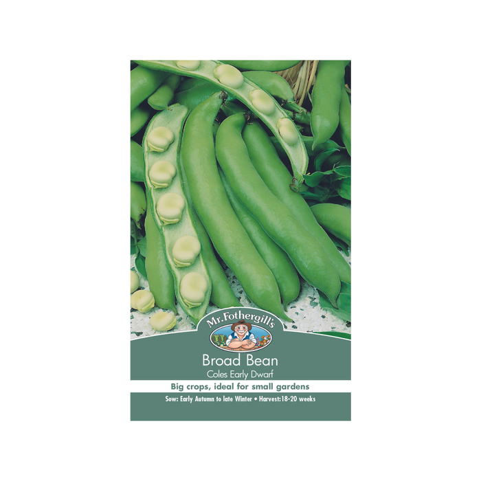 Mr Fothergill's Broad Bean Coles Early Dwarf Seeds