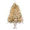 Christabelle 2.3m Christmas Tree Potted Alpine Fir with Pre Lit Multi-Colour LED Lights