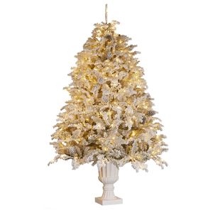 Christabelle 2.3m Christmas Tree Potted Alpine Fir with Pre Lit Multi-Colour LED Lights