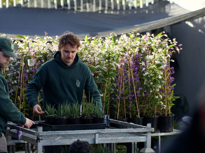 Trade Service - Commercial Greenlife - Image Gallery - 5