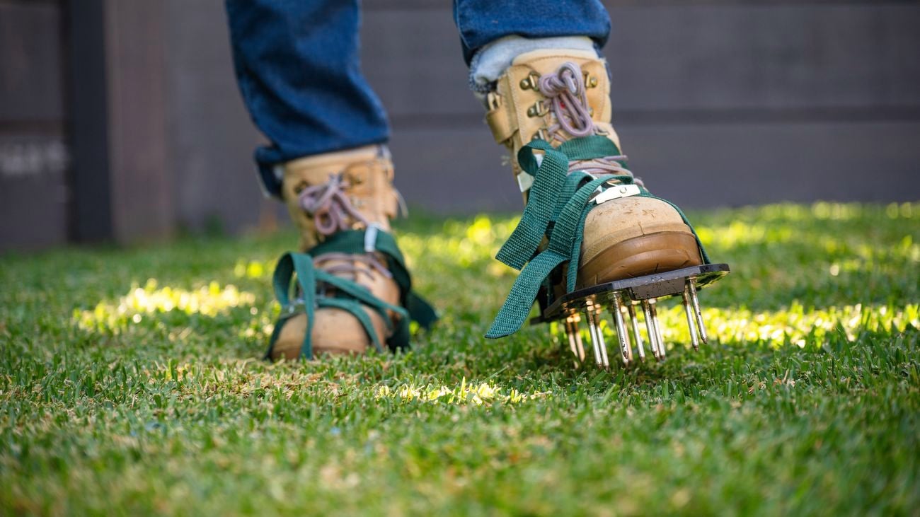 Revive your lawn's health with aeration techniques